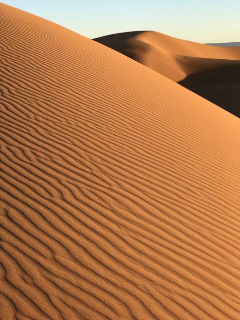 Golden sand dunes with rippled textures