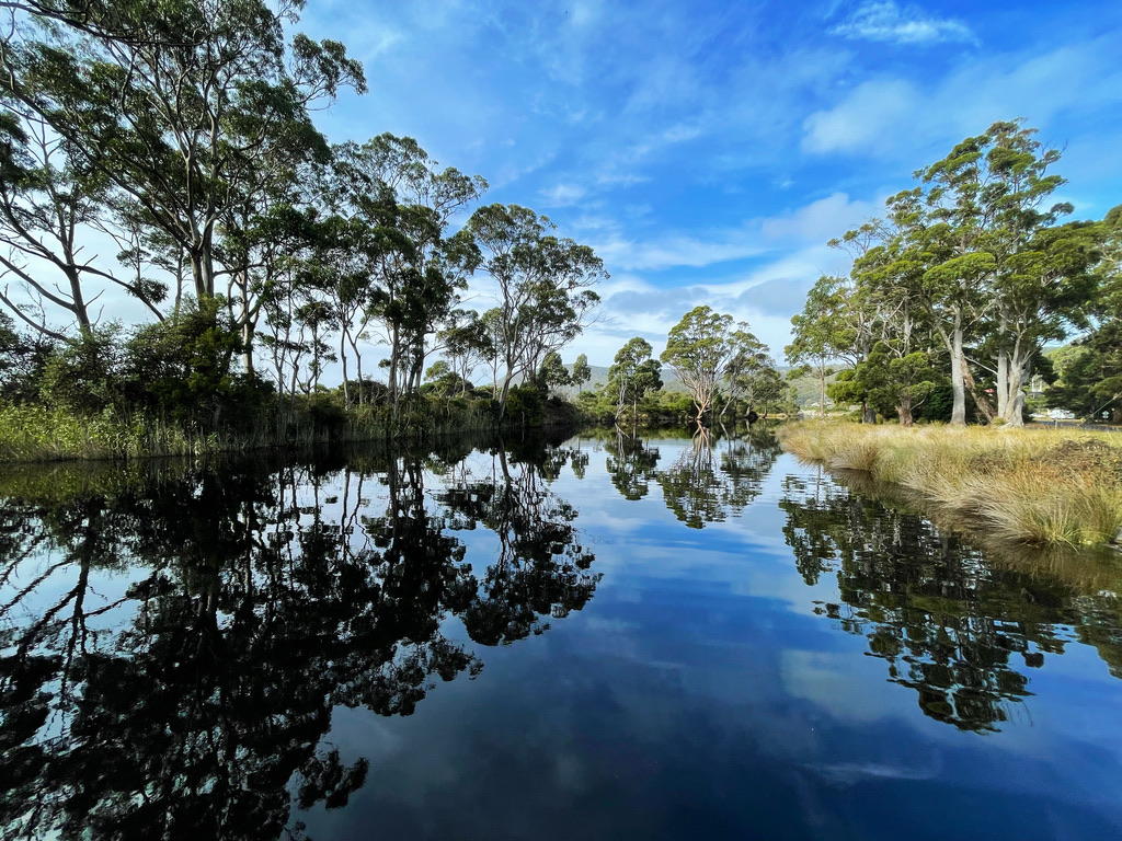 Serene lake with perfect tree reflections