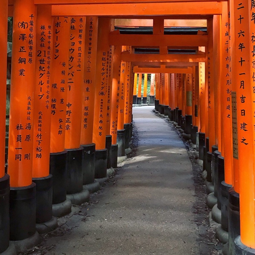 Orange torii gates creating a tunnel pathway at Japanese temple